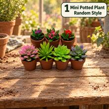 Mini Succulent And Flower Potted Plant Model Set With Red Watering Can Miniature Decor, Pastoral Garden Micro Landscape Accessories, Desktop Display Decoration - one-size - View 8