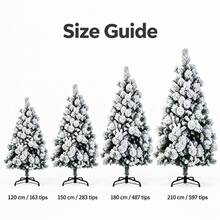 Frosted Christmas Tree Multi Size 120cm 150cm 180cm 210cm For Holiday Display - White - View 4