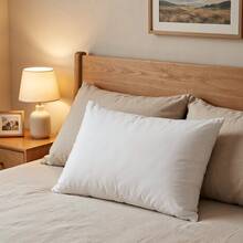 Pillow Inserts - White - View 5