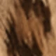 متعدد الألوان