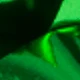 FG1098-green