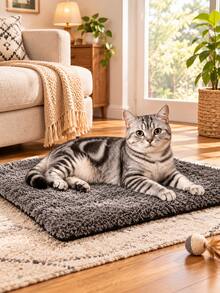 1pc Soft Pet Plush Bed Mat, Warm Wear Resistant Sleeping Pad For Autumn Winter, Reusable Comfortable Sleeping Blanket, Cute Single Floor Mat For Small Medium Large Dogs Cats, Indoor Pet Sleeping Accessory - Multicolor - View 2