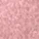 Pink Cat