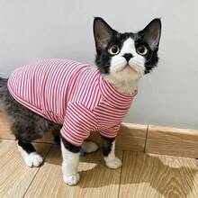 Multi-Color Striped Turtleneck Cat Shirt With Hat, Soft And Elastic Pet Clothing Set With Hat, Cute Kitten Outfit For Sphynx And Devon Rex Hairless Cats - Multicolor - View 6