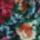 Multicolor