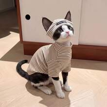 Multi-Color Striped Turtleneck Cat Shirt With Hat, Soft And Elastic Pet Clothing Set With Hat, Cute Kitten Outfit For Sphynx And Devon Rex Hairless Cats - Multicolor - View 16