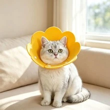 1PC Sunflower Cat Elizabeth Collar Soft Anti-Lick Collar Pet Post-Surgery Neutering Protective Neck Collar - View 4