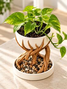 1pc Tree Root Shaped Resin Planter Stand, Decorative Elevated Planter Tray With Drainage Dish, Unique Succulent Pot, Home Desktop Indoor Plant Decor - Multiple Styles - View 7