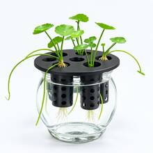 7-Hole 3D Printed Hydroponic Planting Mold, Slouchy Indoor Soilless Cultivation Kit For Garlic And Green Onion, Kitchen Balcony DIY Home Gardening Accessories - Multiple Specifications - View 4