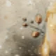 MultiWarna