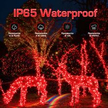String Lights - Red - View 4