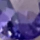 Violet Purple