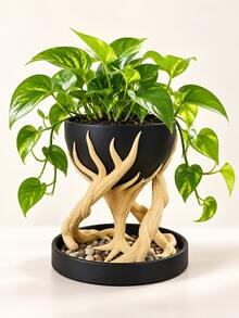 1pc Tree Root Shaped Resin Planter Stand, Decorative Elevated Planter Tray With Drainage Dish, Unique Succulent Pot, Home Desktop Indoor Plant Decor - Multiple Styles - View 4
