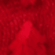 Pohon Merah