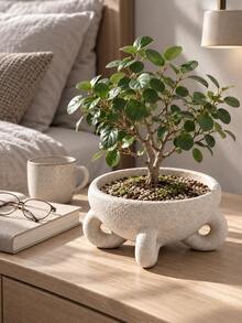 1pc Minimalist Cream White Textured Bowl-Shaped Planter With Sculptural Base, Suitable For Bedroom, Office, Reading Nook And Bright Windowsill, Small Plants And Succulents, Succulent Planter, Living Room Decor - Multiple Styles - View 6
