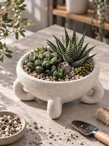 1pc Minimalist Cream White Textured Bowl-Shaped Planter With Sculptural Base, Suitable For Bedroom, Office, Reading Nook And Bright Windowsill, Small Plants And Succulents, Succulent Planter, Living Room Decor - Multiple Styles - View 8
