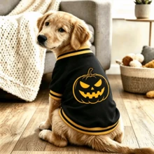 Halloween Dog Jacket Pet Baseball Jersey Black & Yellow Striped Baseball Shirt Pumpkin Print Cat Dog Coat Suitable For Small & Medium Dogs Halloween Costume - Multicolor - View 7