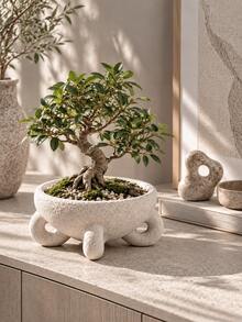 1pc Minimalist Cream White Textured Bowl-Shaped Planter With Sculptural Base, Suitable For Bedroom, Office, Reading Nook And Bright Windowsill, Small Plants And Succulents, Succulent Planter, Living Room Decor - Multiple Styles - View 2