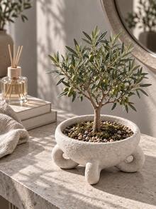 1pc Minimalist Cream White Textured Bowl-Shaped Planter With Sculptural Base, Suitable For Bedroom, Office, Reading Nook And Bright Windowsill, Small Plants And Succulents, Succulent Planter, Living Room Decor - Multiple Styles - View 9