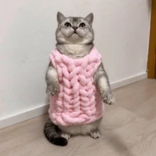 CLSUPER Hand Knitted Chunky Chenille Pet Vest, Soft Thick Plush Pet Sweater For Cats Small Dogs, Warm Cozy Pet Clothes, Boho Handmade Pet Outfit For Home Wear, Washable - Multicolor - View 15