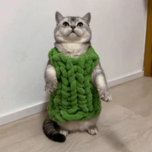 CLSUPER Hand Knitted Chunky Chenille Pet Vest, Soft Thick Plush Pet Sweater For Cats Small Dogs, Warm Cozy Pet Clothes, Boho Handmade Pet Outfit For Home Wear, Washable - Multicolor - View 14