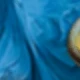 متعدد الألوان