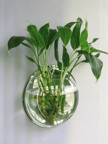 Wall-Mounted Fish Tank, Wall-Mounted Vase, Flower Pot, Organic Glass ...