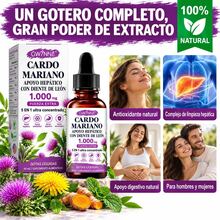 GWYNNE Plant Extracts - 60ml - View 3