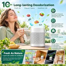 Hollow Stainless Steel Odor Absorber Container, Refrigerator Deodorizer Box, Home Cabinet Shoe Cabinet Wardrobe Air Purifying Storage Canister - View 1
