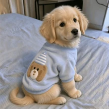 Autumn/Winter Light Blue Bear Embroidery Pet Fleece Hoodie, Cute Cat And Dog Sweater, Round Neck Top - Baby Blue - View 8