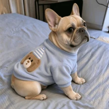 Autumn/Winter Light Blue Bear Embroidery Pet Fleece Hoodie, Cute Cat And Dog Sweater, Round Neck Top - Baby Blue - View 7