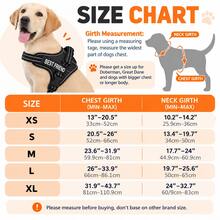No Pull Dog Harness And Leash Set, Easy On Adjustable Reflective Dog Vest With Padded Handle, Breathable Mesh Pet Harness With Shock Absorbing Bungee Leash For Small Medium Large Dogs, Walking & Training - Multicolor - View 2