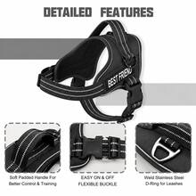 No Pull Dog Harness And Leash Set, Easy On Adjustable Reflective Dog Vest With Padded Handle, Breathable Mesh Pet Harness With Shock Absorbing Bungee Leash For Small Medium Large Dogs, Walking & Training - Multicolor - View 4