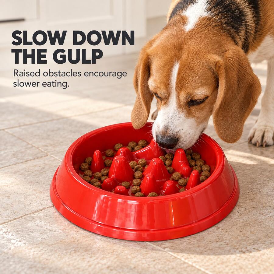 1pc Pet Slow Feeder Bowl, Slows Down Cat And Dog Eating Speed, Anti-Choke, Anti-Slip, Anti-Spill, Suitable For Cats And Dogs, Helps Slow Chewing, Easy Digestion And Absorption - 200ml - View 1