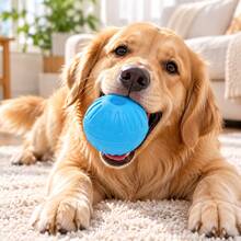 1pc EVA Dog Training Ball, Durable Chew Toy, Floating Toy, Dog Boredom Relief Toy - Multicolor - View 3