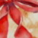 彩色