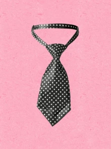 Popjeli 1pc Leopard And Stripe Double-Layer Small Necktie, Suitable For Casual And Street Style For Dress For Christmas Decor - Multicolor - View 14