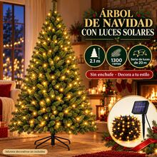 Christmas Trees - Green - View 1