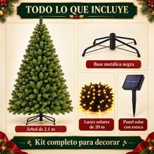 Christmas Trees - Green - View 2
