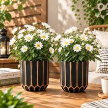 2pcs Fashion Striped Minimalist Thickened Anti-Pressure Sturdy Vintage Practical Versatile Polygonal Plant Pots - A - View 5