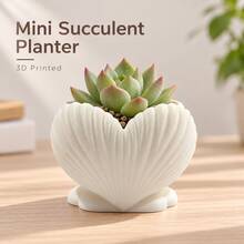 1pc Popular 3D Printed Heart-Shaped Shell Succulent Planter, Cute Mini Heart-Shaped Flower Pot, Textured Desktop Small Plant Pot, Valentine's Day Gift Home Desktop Decor - Multicolor - View 4