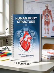 Human Visual Anatomy Learning Manual, Suitable For Students And Art Creators, Detailed Explanation Of Bones, Muscles, Organs And Human Systems, Medical Study And Art Painting Reference Book, Size 5.8x8.3 Inches - A5 - View 6