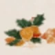 Christmas-003