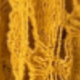 Amarelo mostarda