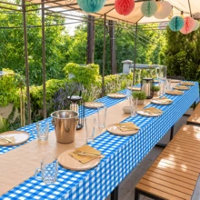 1/6/12PCS-137*274cm/137*137cm Blue And White Plastic Checkered Tablecloth, Decorative Disposable Blue Plaid Tablecloth, Suitable For Farm Birthday Wedding Rectangular Tablecloth, Party Tablecloth - Blue - View 5