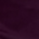 Bold Plum