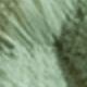 Hijau