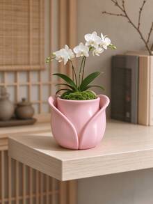 Modern Minimalist Multi-Color Tulip Shaped Vase, Ins Style Desktop Flower Container, Home Decor Art Decorative Ornament - Petal Mouth - View 5