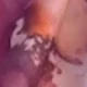 多色3
