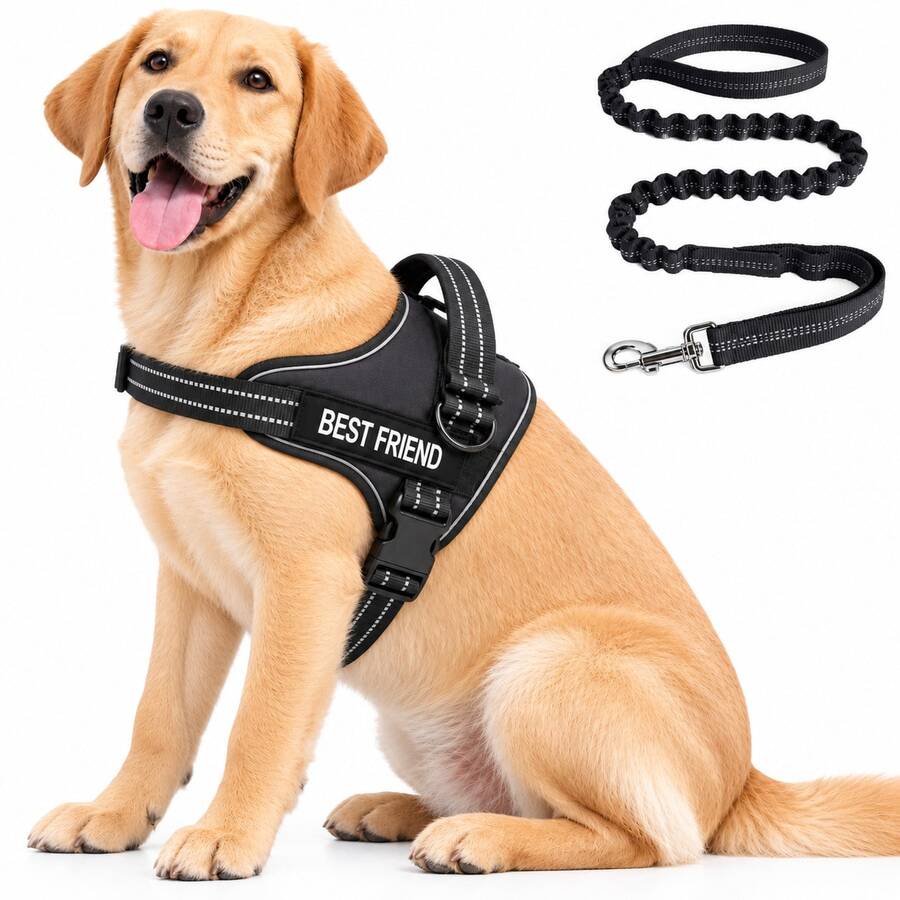 No Pull Dog Harness And Leash Set, Easy On Adjustable Reflective Dog Vest With Padded Handle, Breathable Mesh Pet Harness With Shock Absorbing Bungee Leash For Small Medium Large Dogs, Walking & Training - Multicolor - View 1